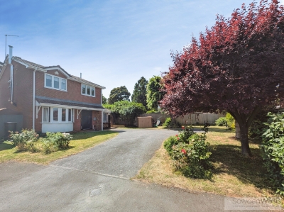 Picture 21
